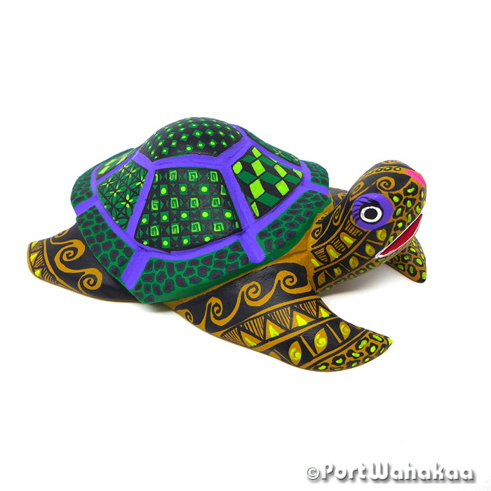 Algas Marinas Turtle