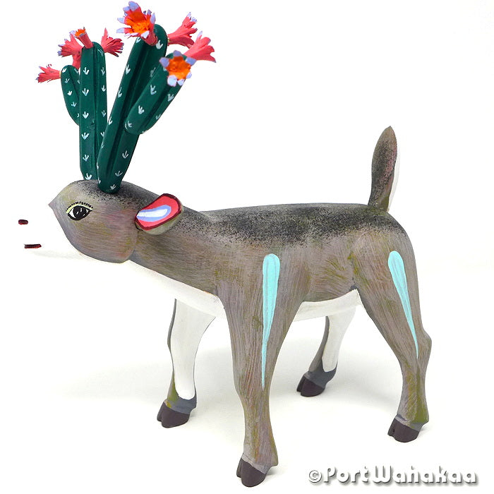 Flowering Cactus Deer