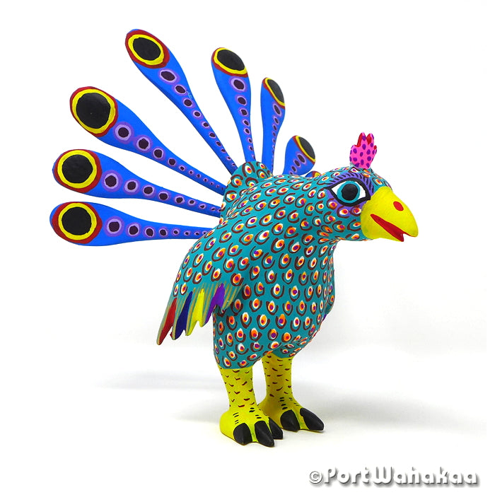 Prodigal Peacock