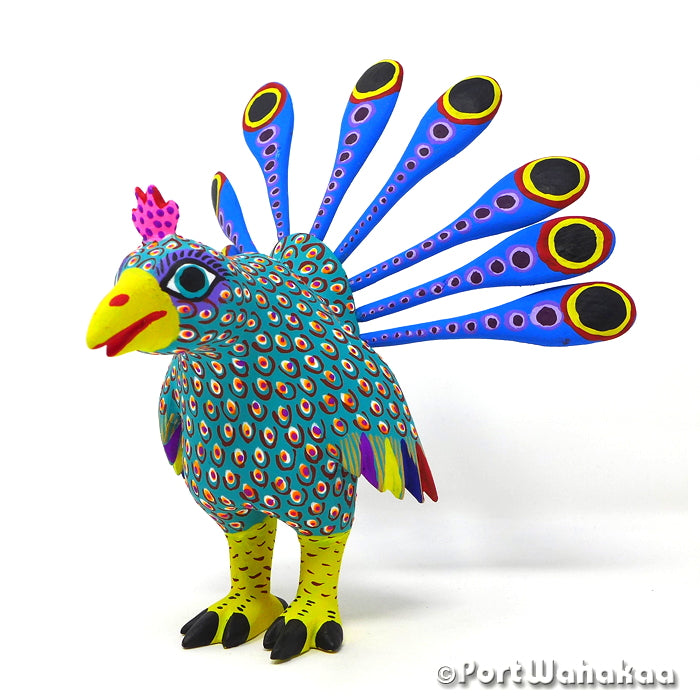 Prodigal Peacock