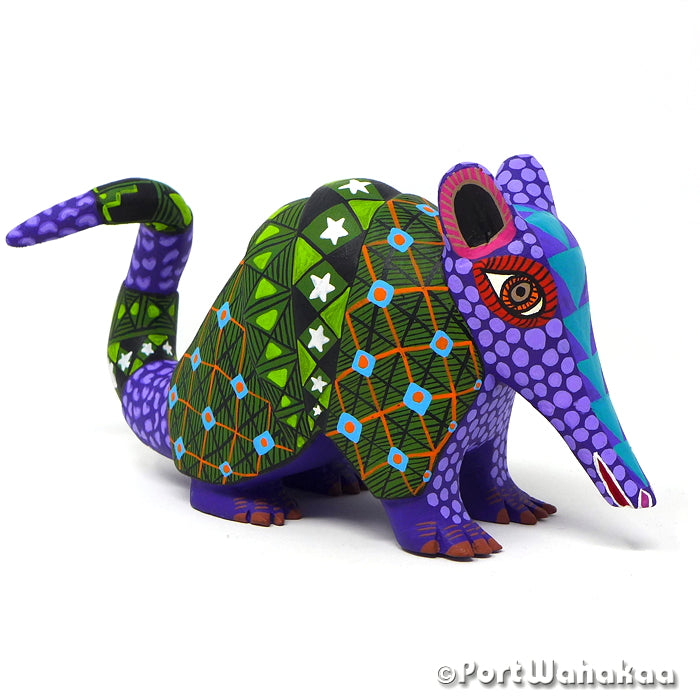 Nochixtlan Armadillo