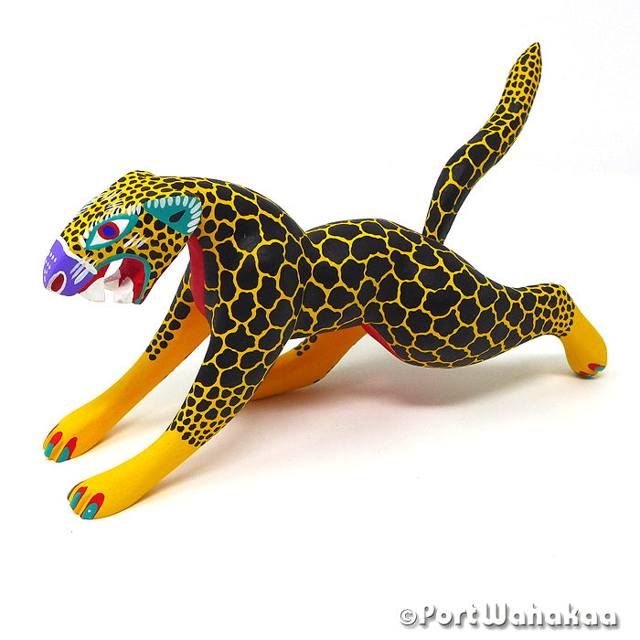 Mexican Jaguar