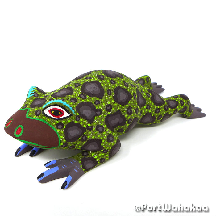 Bufo Toad