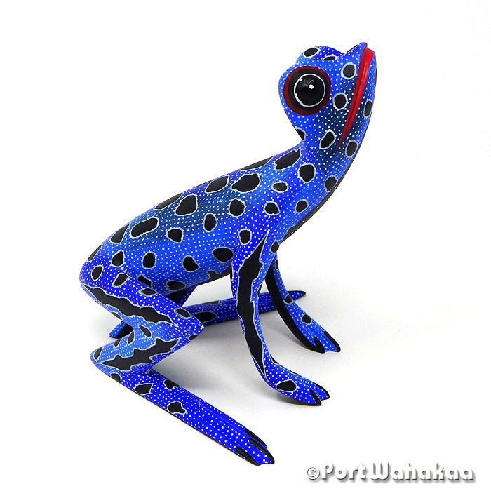 Zafiro Frog