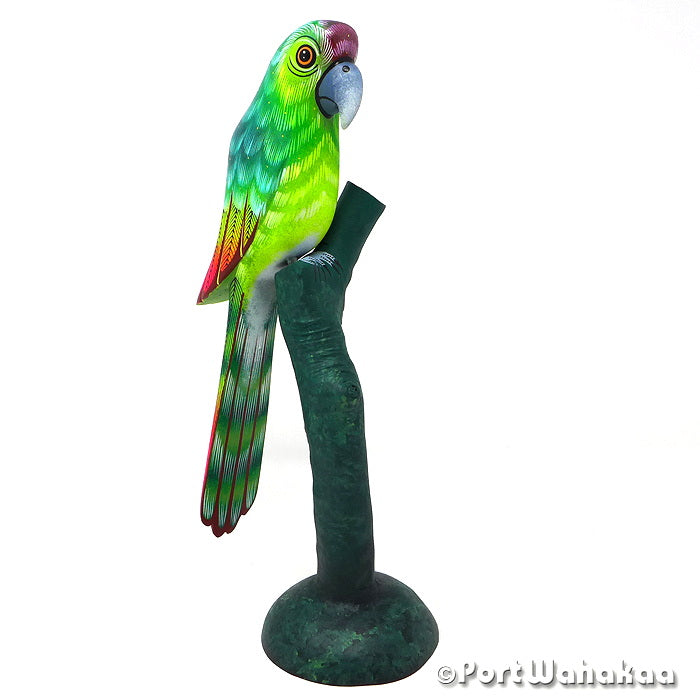 Great Green Macaw Oaxacan Wood Carvings for Sale Austin Texas Artist - David Blas Avia, Bird, Carving Large, Pajaro, Parrot, San Pedro Cajonos