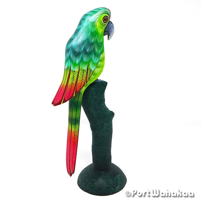 Great Green Macaw Oaxacan Wood Carvings for Sale Austin Texas Artist - David Blas Avia, Bird, Carving Large, Pajaro, Parrot, San Pedro Cajonos