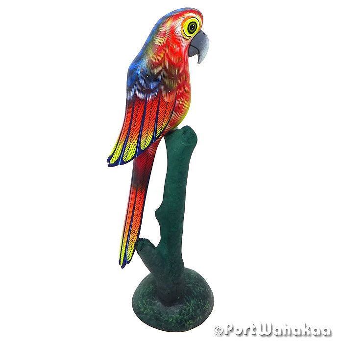 Sunset Macaw Oaxaca Carvings Blas Austin Texas Artist - David Blas Avia, Carving Large, Pajaro, Parrot, San Pedro Cajonos