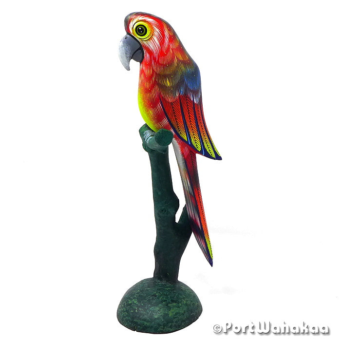 Sunset Macaw