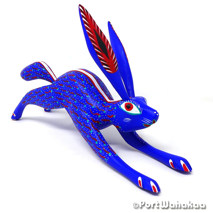 Jackrabbit Estrella