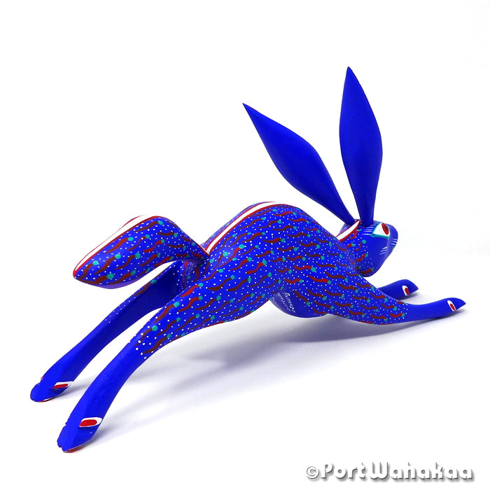 Jackrabbit Estrella