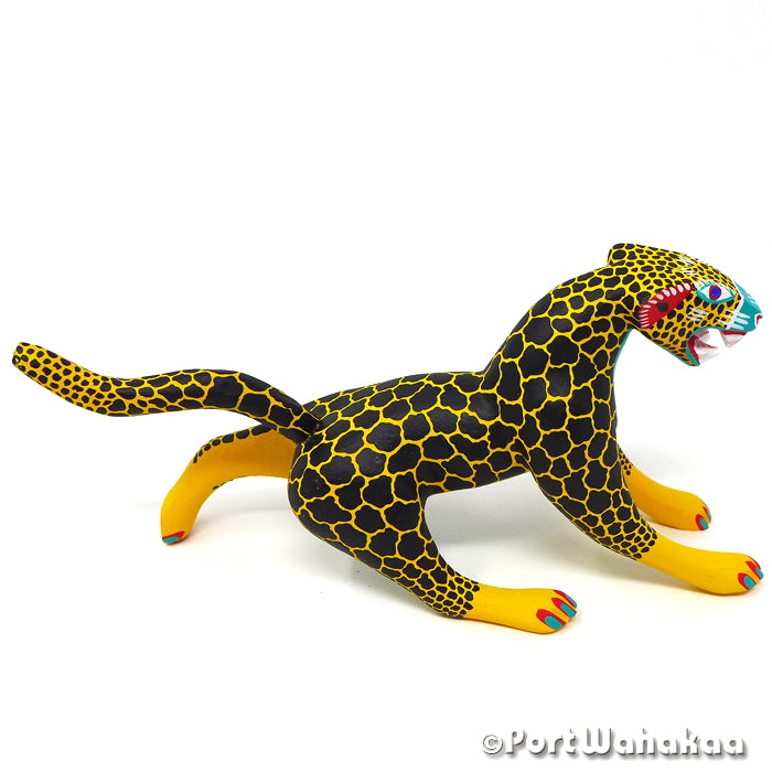 Jaguar Dinamico