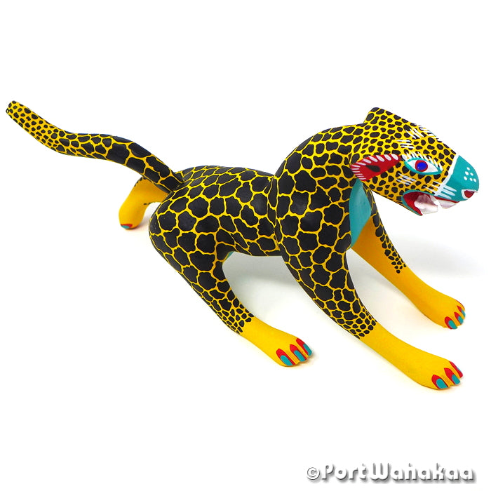 Jaguar Dinamico