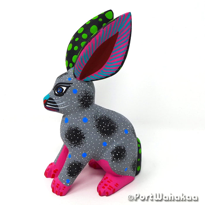 Lluvia Jackrabbit