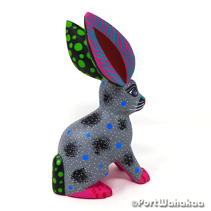 Lluvia Jackrabbit