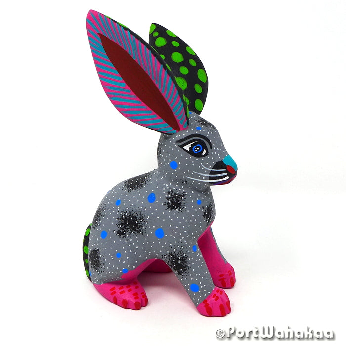 Lluvia Jackrabbit