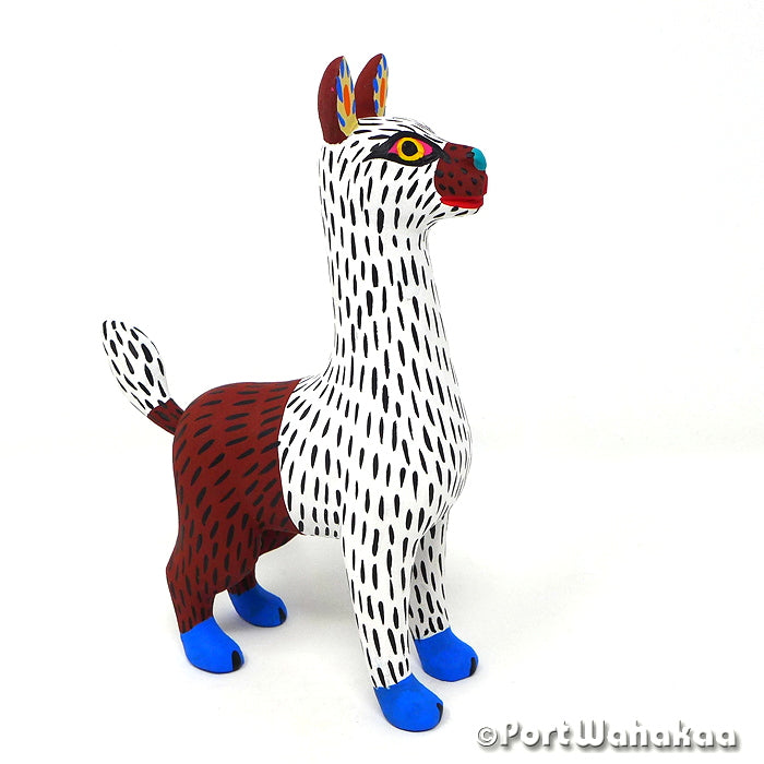 Costera Alpaca