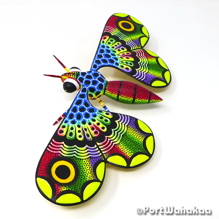 Raul Blas Butterfly Austin Texas Oaxacan Wood Carvings for Sale Artist - Raul Blas butterfly, Carving Medium Large, Insect, mariposa, San Pedro Cajonos
