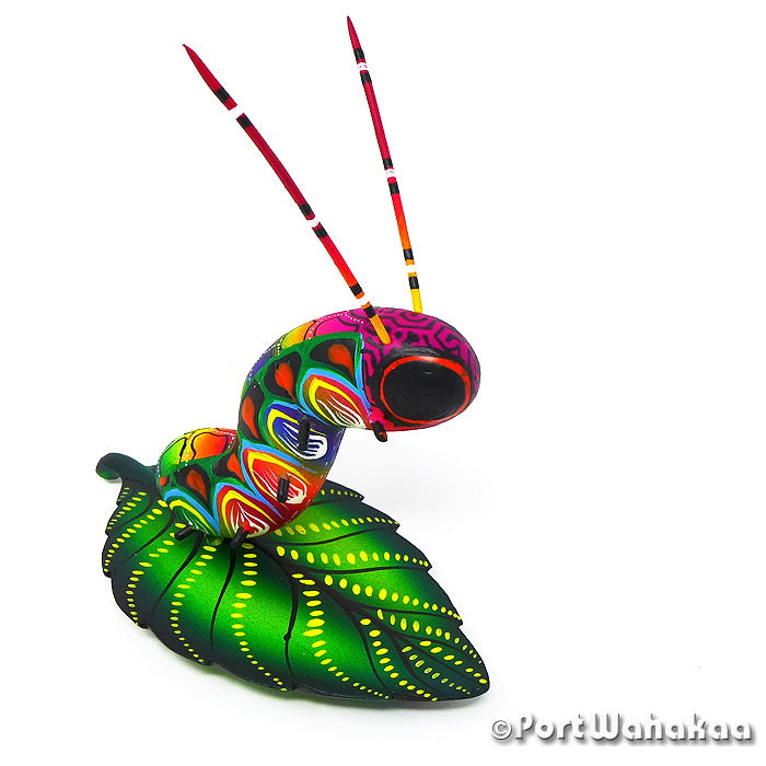 Monarch Caterpillar Oaxacan Wood Carvings for Sale Austin Texas Artist - Rogelio Blas Carving Medium, caterpillar, Insect, mariposa, San Pedro Cajonos