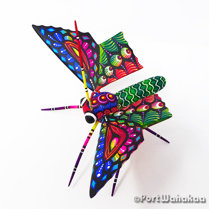 Butterfly Austin Copal Wood Oaxacan Alebrije Carvings for Sale Texas Artist - Rogelio Blas butterfly, Carving Medium, Insect, mariposa, San Pedro Cajonos