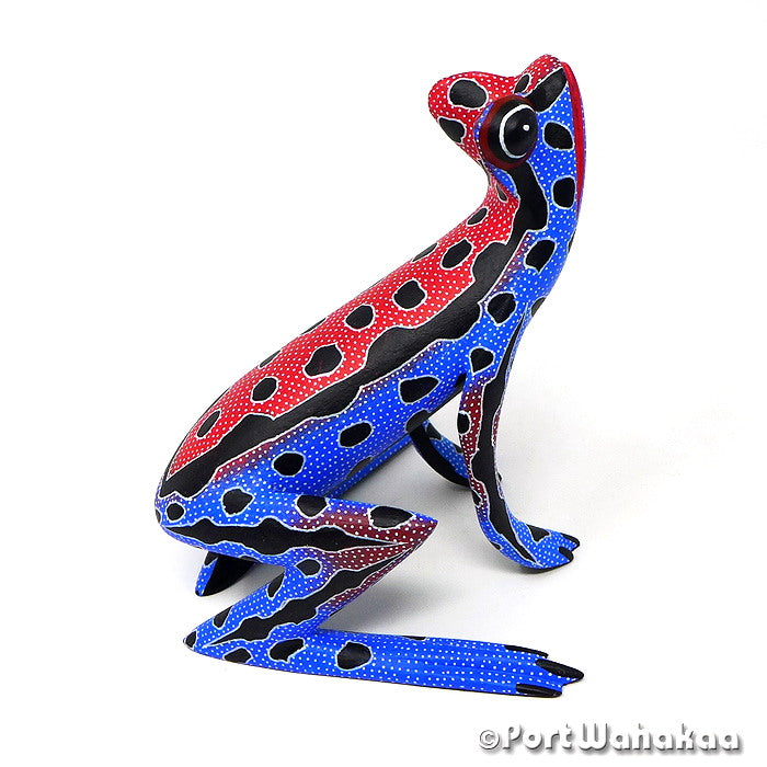 Rana Tropico Ocote Tree Carving Oaxaca Alebrije for Sale Austin Texas Artist - Javier Blas Carving Small Medium, Frog, Rana, San Pedro Cajonos, Sapo